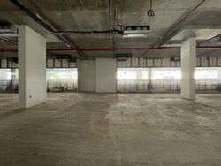 Middle Road (D7), Retail #616965691